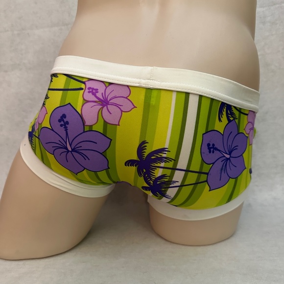 N2N Bodywear Square Cut Pouch Swim Briefs Small RARE sold out style Gently worn - Picture 3 of 5